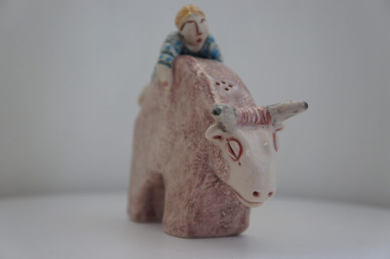 Sterrenbeeld Stier Onepiece