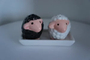 Peper- en zoutstel schapen op schaaltje, zwart en wit